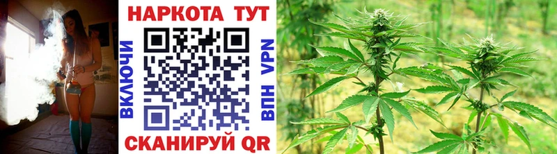 ГАШ Фокино