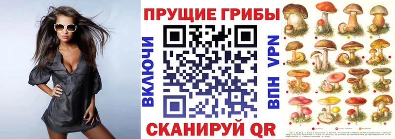 Псилоцибиновые грибы Psilocybine cubensis дарнет шоп Фокино